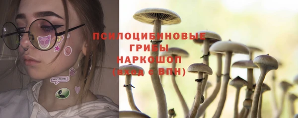 скорость Пересвет