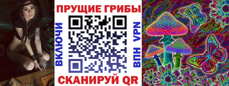Псилоцибиновые грибы мицелий  Белёв 